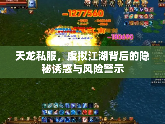 天龙私服，虚拟江湖背后的隐秘诱惑与风险警示