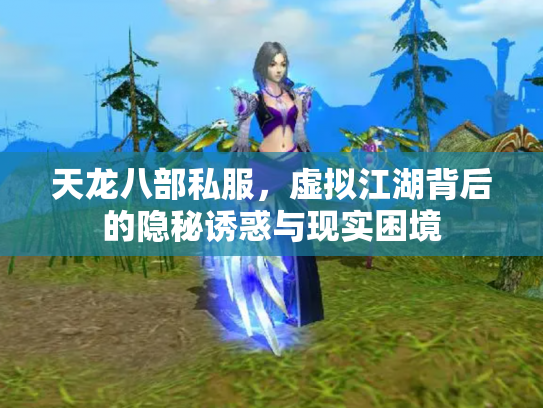 天龙八部私服，虚拟江湖背后的隐秘诱惑与现实困境