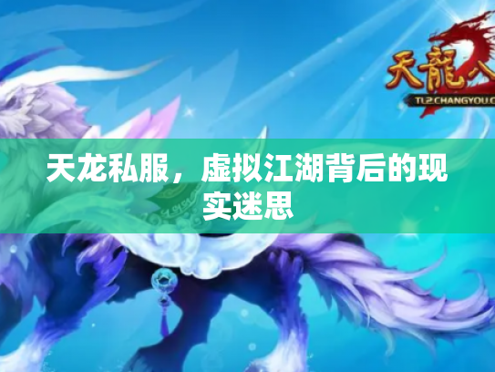 天龙私服，虚拟江湖背后的现实迷思