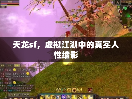 天龙sf，虚拟江湖中的真实人性缩影