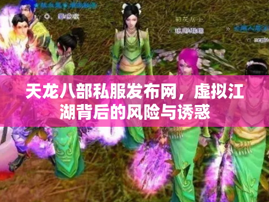 天龙八部私服发布网，虚拟江湖背后的风险与诱惑
