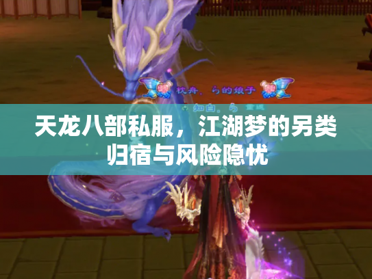 天龙八部私服，江湖梦的另类归宿与风险隐忧