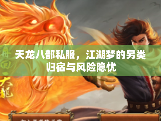 天龙八部私服，江湖梦的另类归宿与风险隐忧