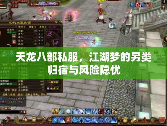 天龙八部私服，江湖梦的另类归宿与风险隐忧