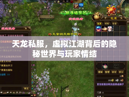 天龙私服，虚拟江湖背后的隐秘世界与玩家情结