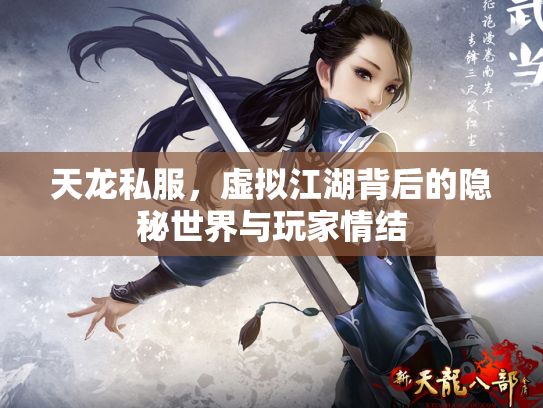 天龙私服，虚拟江湖背后的隐秘世界与玩家情结