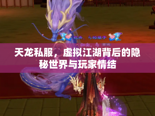 天龙私服，虚拟江湖背后的隐秘世界与玩家情结