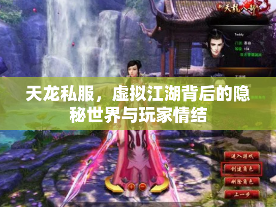 天龙私服，虚拟江湖背后的隐秘世界与玩家情结