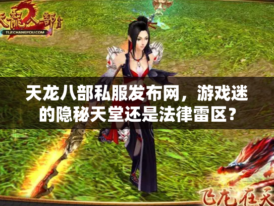 天龙八部私服发布网，游戏迷的隐秘天堂还是法律雷区？