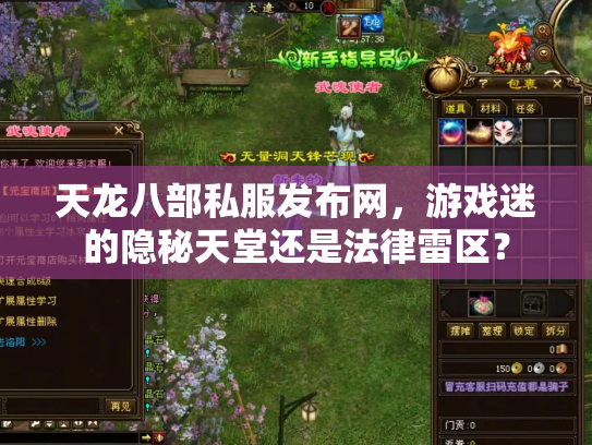 天龙八部私服发布网，游戏迷的隐秘天堂还是法律雷区？