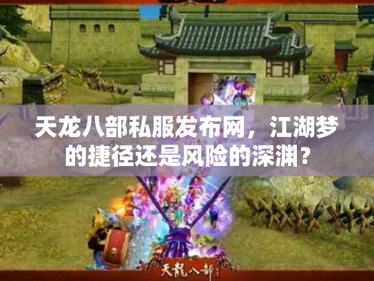 天龙八部私服发布网，江湖梦的捷径还是风险的深渊？