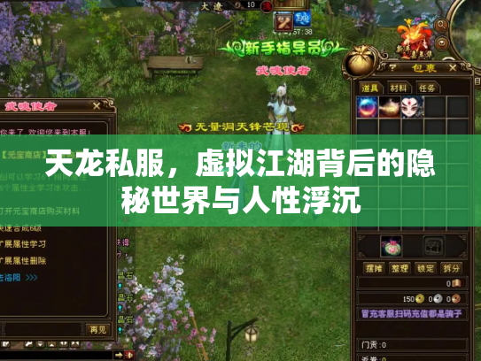 天龙私服，虚拟江湖背后的隐秘世界与人性浮沉