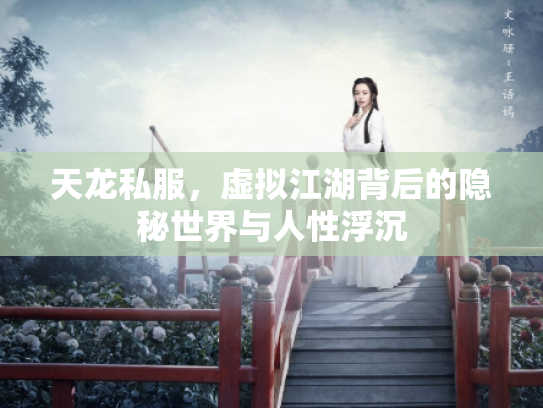 天龙私服，虚拟江湖背后的隐秘世界与人性浮沉