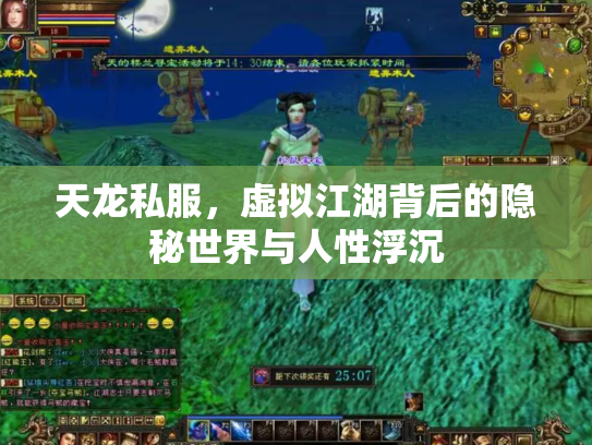 天龙私服,虚拟江湖背后的隐秘世界与人性浮沉 天龙私服,虚拟江湖背后的隐秘世界与人性浮沉