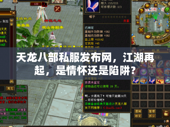 天龙八部私服发布网，江湖再起，是情怀还是陷阱？