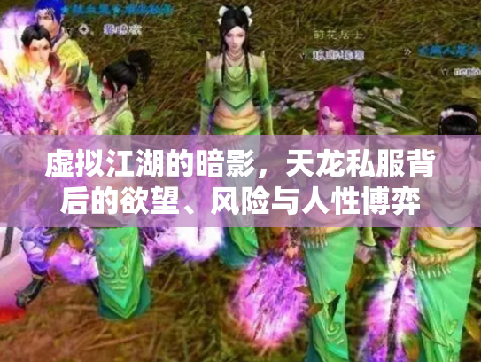 虚拟江湖的暗影，天龙私服背后的欲望、风险与人性博弈