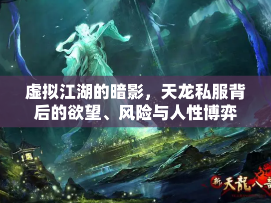 虚拟江湖的暗影，天龙私服背后的欲望、风险与人性博弈