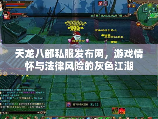 天龙八部私服发布网，游戏情怀与法律风险的灰色江湖