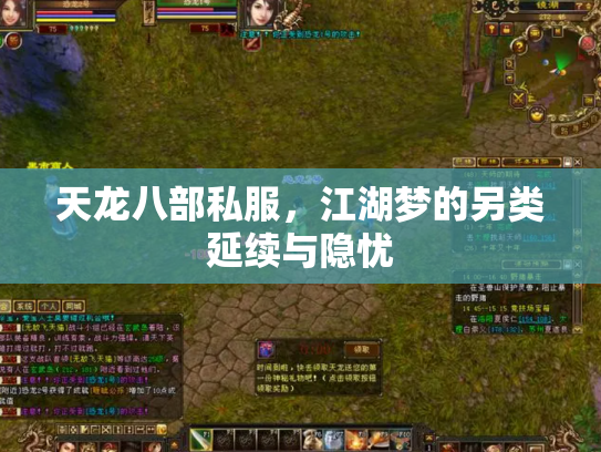 天龙八部私服，江湖梦的另类延续与隐忧