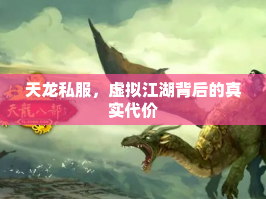 天龙私服，虚拟江湖背后的真实代价