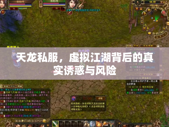 天龙私服，虚拟江湖背后的真实诱惑与风险