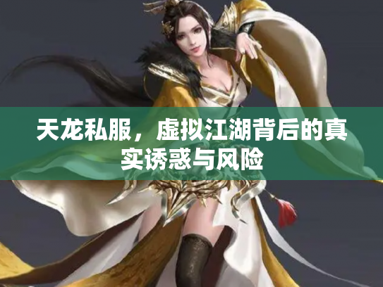 天龙私服，虚拟江湖背后的真实诱惑与风险
