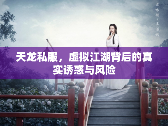 天龙私服，虚拟江湖背后的真实诱惑与风险
