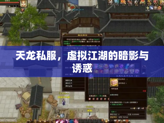 天龙私服，虚拟江湖的暗影与诱惑