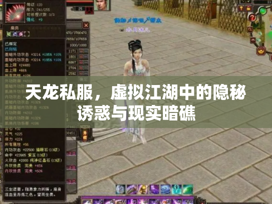 天龙私服，虚拟江湖中的隐秘诱惑与现实暗礁