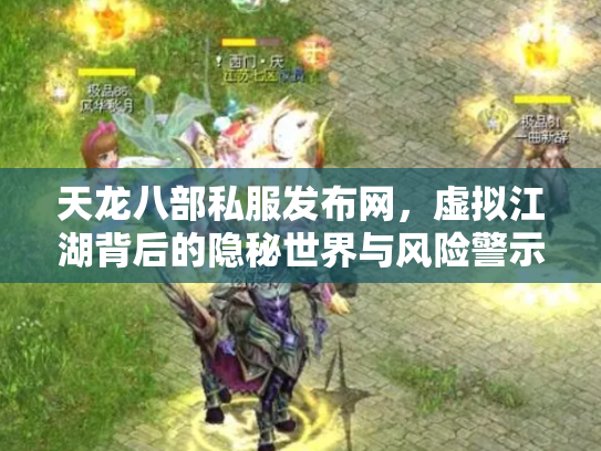 天龙八部私服发布网，虚拟江湖背后的隐秘世界与风险警示