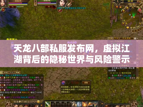 天龙八部私服发布网，虚拟江湖背后的隐秘世界与风险警示