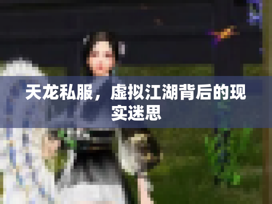 天龙私服，虚拟江湖背后的现实迷思