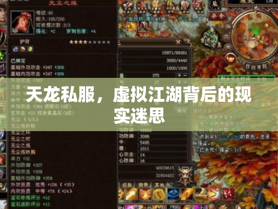 天龙私服，虚拟江湖背后的现实迷思