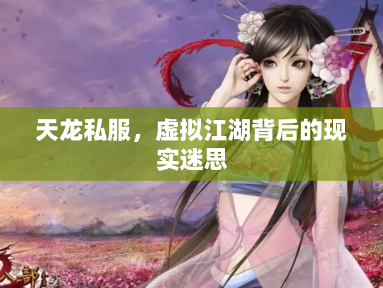 天龙私服，虚拟江湖背后的现实迷思