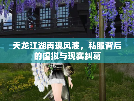 天龙江湖再现风波，私服背后的虚拟与现实纠葛