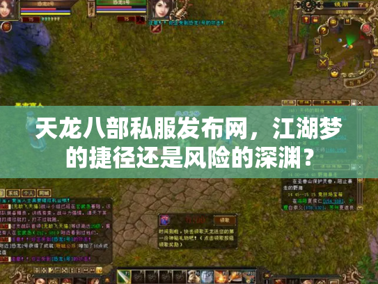 天龙八部私服发布网，江湖梦的捷径还是风险的深渊？