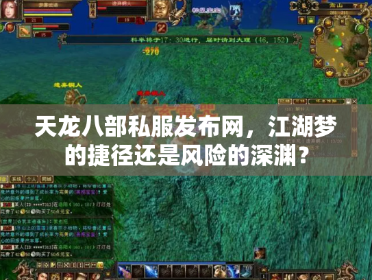 天龙八部私服发布网，江湖梦的捷径还是风险的深渊？