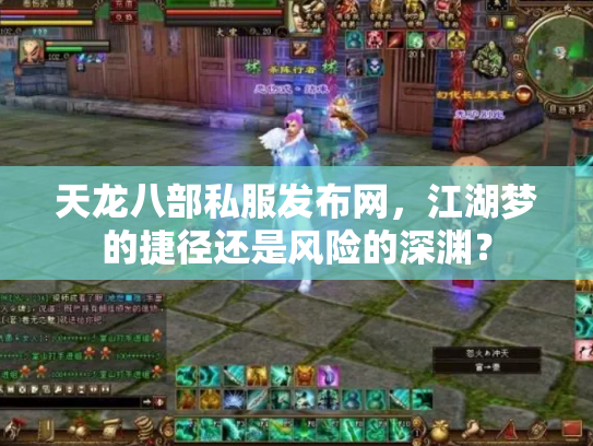 天龙八部私服发布网，江湖梦的捷径还是风险的深渊？