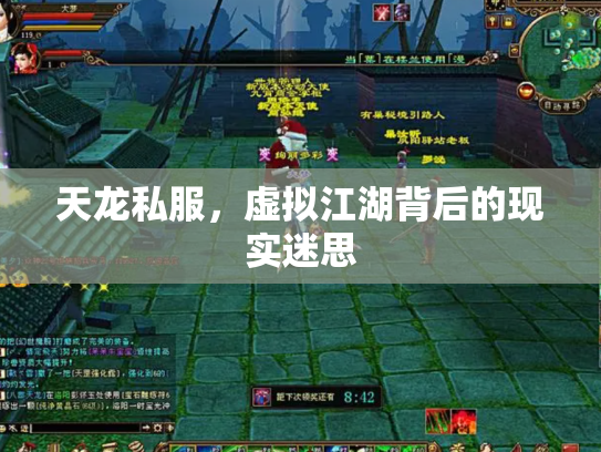 天龙私服，虚拟江湖背后的现实迷思