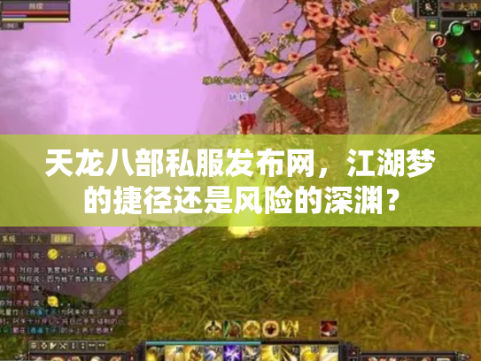 天龙八部私服发布网，江湖梦的捷径还是风险的深渊？