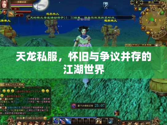 天龙私服，怀旧与争议并存的江湖世界