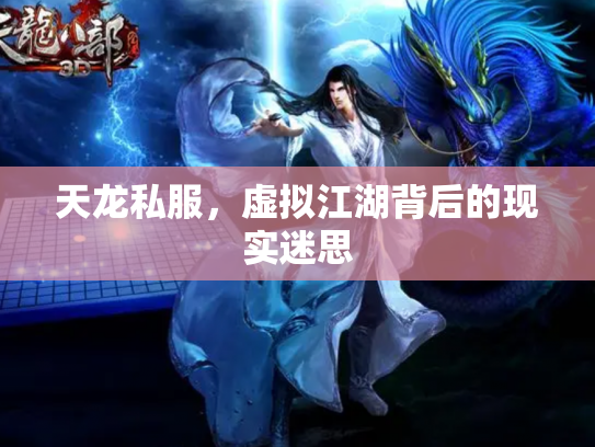 天龙私服，虚拟江湖背后的现实迷思