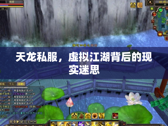 天龙私服，虚拟江湖背后的现实迷思