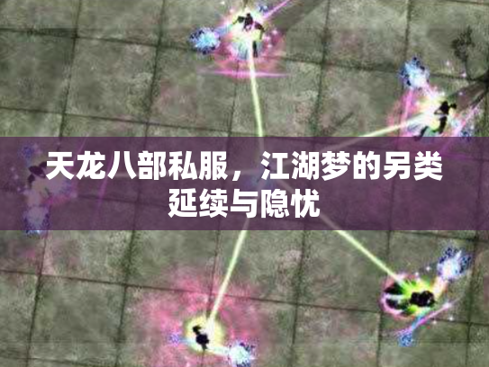 天龙八部私服，江湖梦的另类延续与隐忧