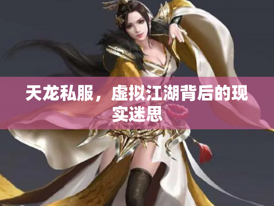 天龙私服，虚拟江湖背后的现实迷思