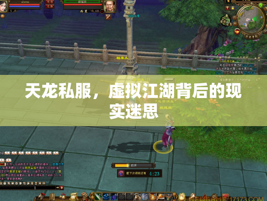 天龙私服，虚拟江湖背后的现实迷思
