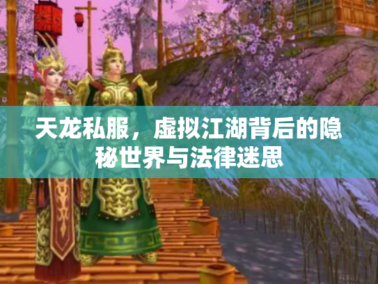 天龙私服，虚拟江湖背后的隐秘世界与法律迷思