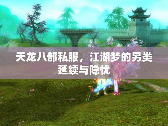 天龙八部私服，江湖梦的另类延续与隐忧