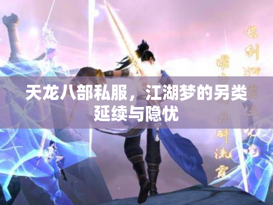 天龙八部私服，江湖梦的另类延续与隐忧