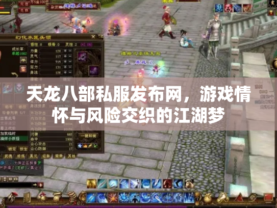 天龙八部私服发布网，游戏情怀与风险交织的江湖梦